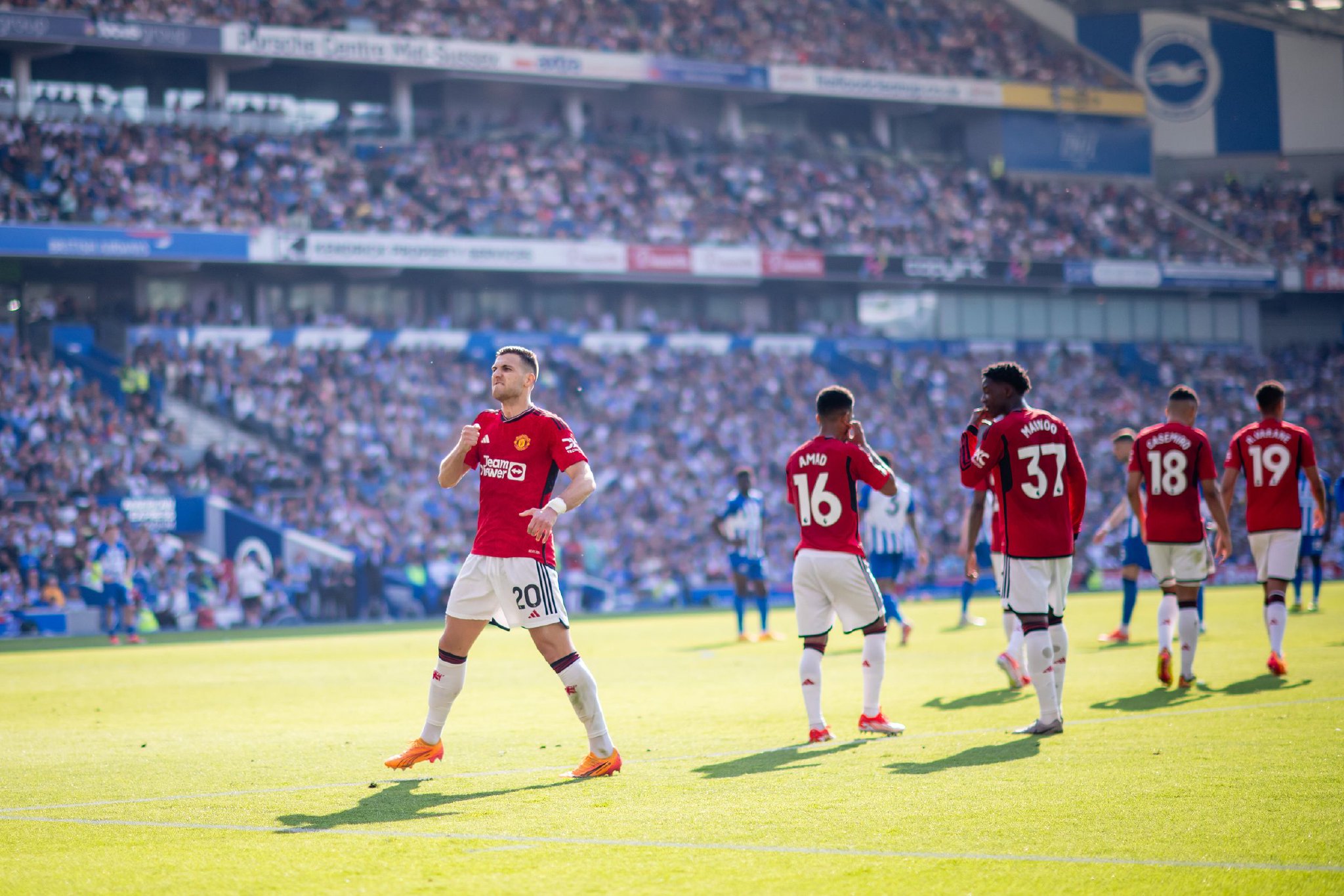 近年来在欧 近年来在欧